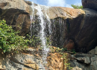 yelagiri info