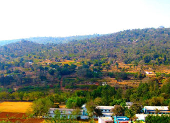 yelagiri info