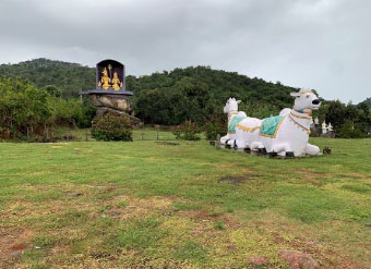 yelagiri info
